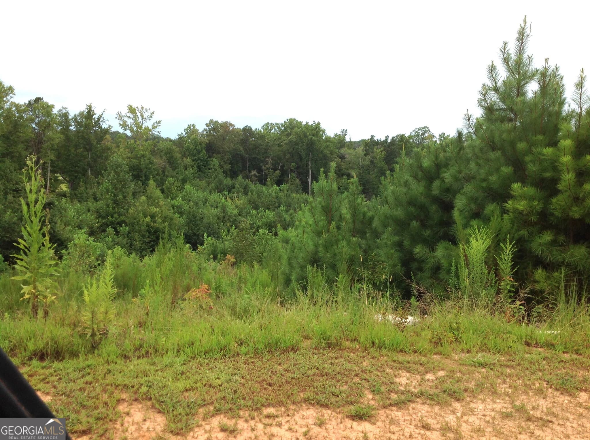 unimproved land for sale at 0 Co Rd 49, Muscadine, AL 36269 — photo 9