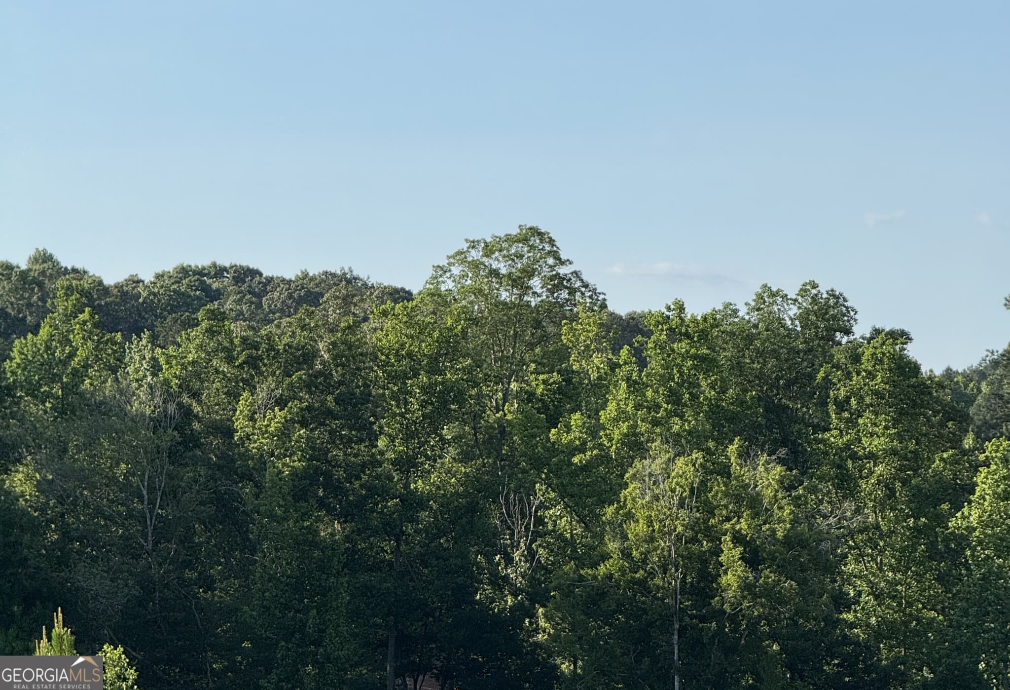 unimproved land for sale at 0 Co Rd 49, Muscadine, AL 36269 — photo 4
