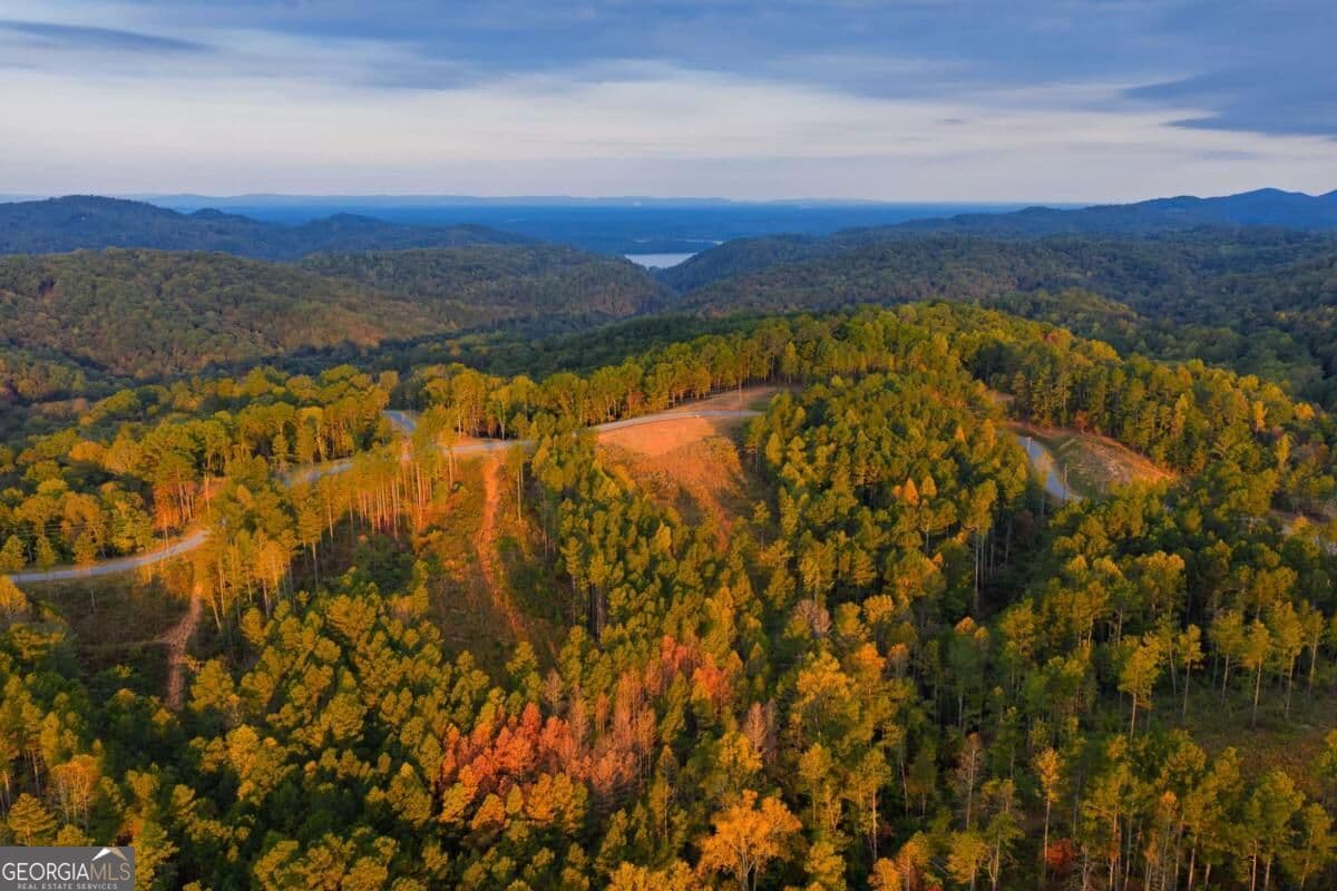 residential lot for sale at LOT 224 W Vista Ridge Parkway, Talking Rock, GA 30175 — photo 6
