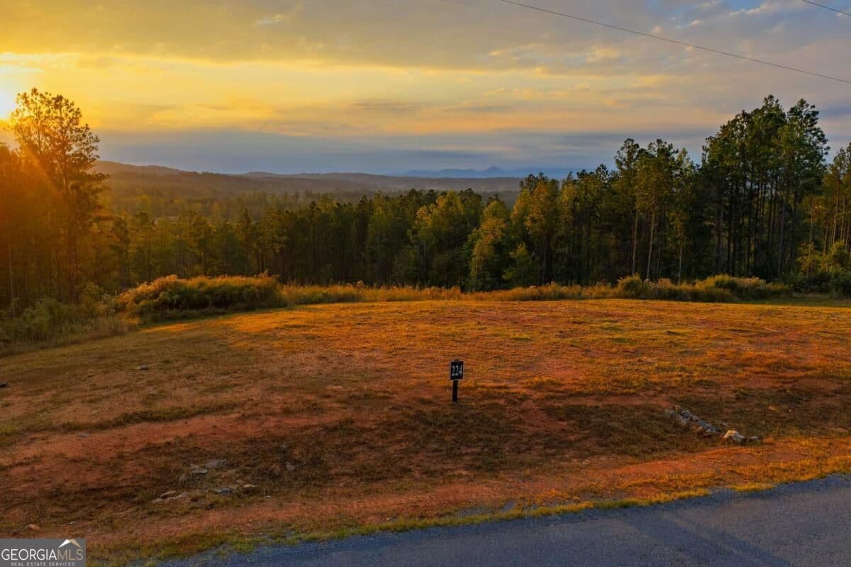 residential lot for sale at LOT 224 W Vista Ridge Parkway, Talking Rock, GA 30175 — photo 1 of 26