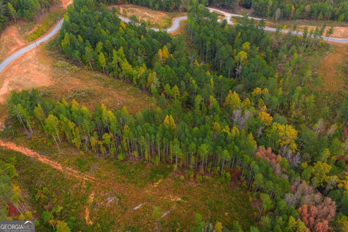residential lot for sale at LOT 224 W Vista Ridge Parkway, Talking Rock, GA 30175 — photo 9