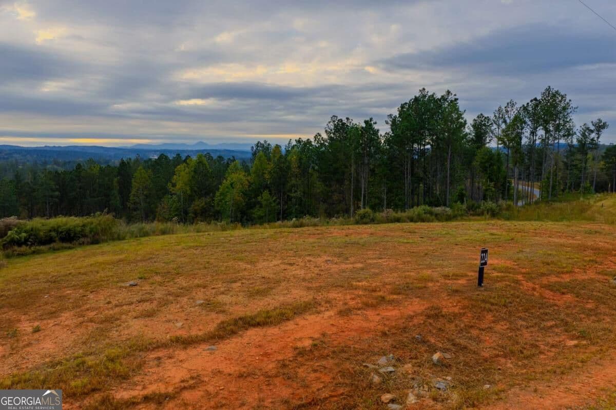 residential lot for sale at LOT 224 W Vista Ridge Parkway, Talking Rock, GA 30175 — photo 10