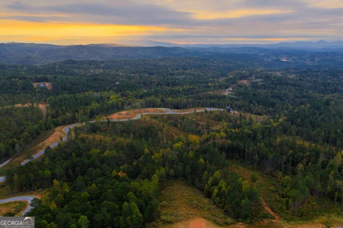 residential lot for sale at LOT 224 W Vista Ridge Parkway, Talking Rock, GA 30175 — photo 8