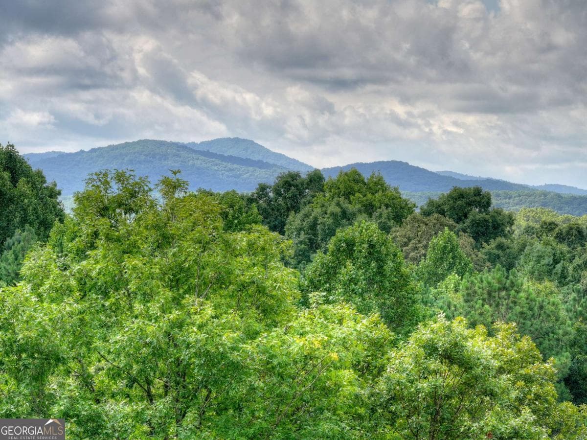 3 bedroom, 2 bathroom, 2,448 sq ft cabin,single family residence for sale at 214 Ethan Wilson Way, Morganton, GA 30560 — photo 2