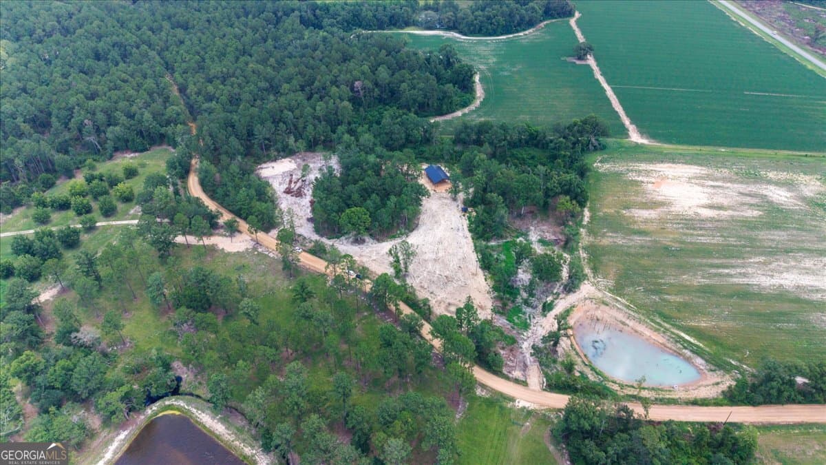 residential lot for sale at 0 Pittman Road, Cobbtown, GA 30420 — photo 2