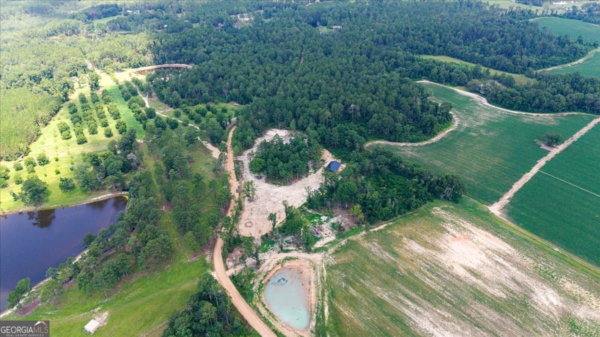 residential lot for sale at 0 Pittman Road, Cobbtown, GA 30420 — photo 3