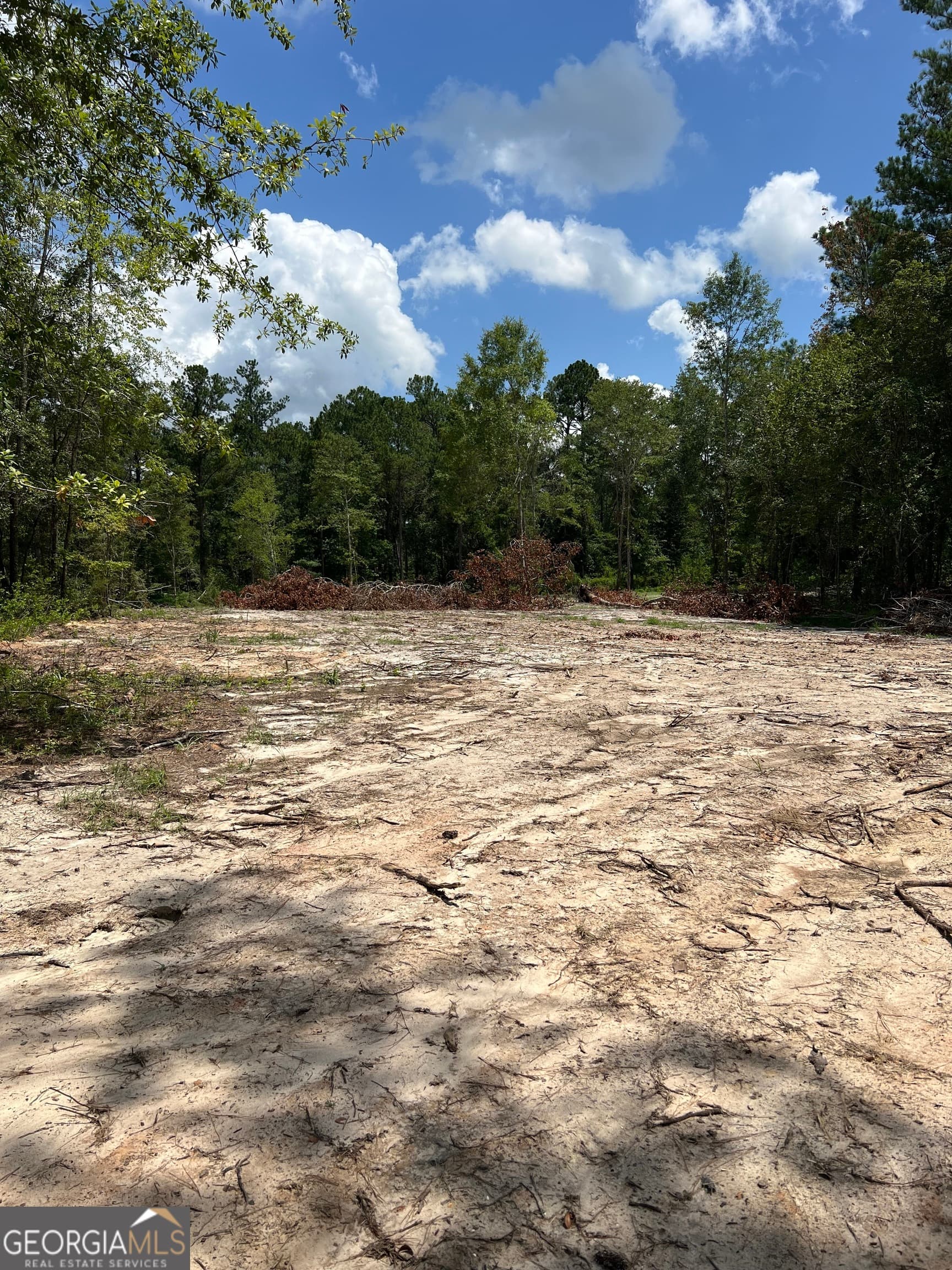 residential lot for sale at 0 Pittman Road, Cobbtown, GA 30420 — photo 4