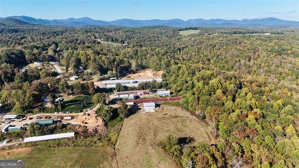 agriculture for sale at 0 Porter Springs Road, Dahlonega, GA 30533 — photo 6