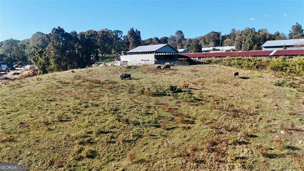 agriculture for sale at 0 Porter Springs Road, Dahlonega, GA 30533 — photo 7