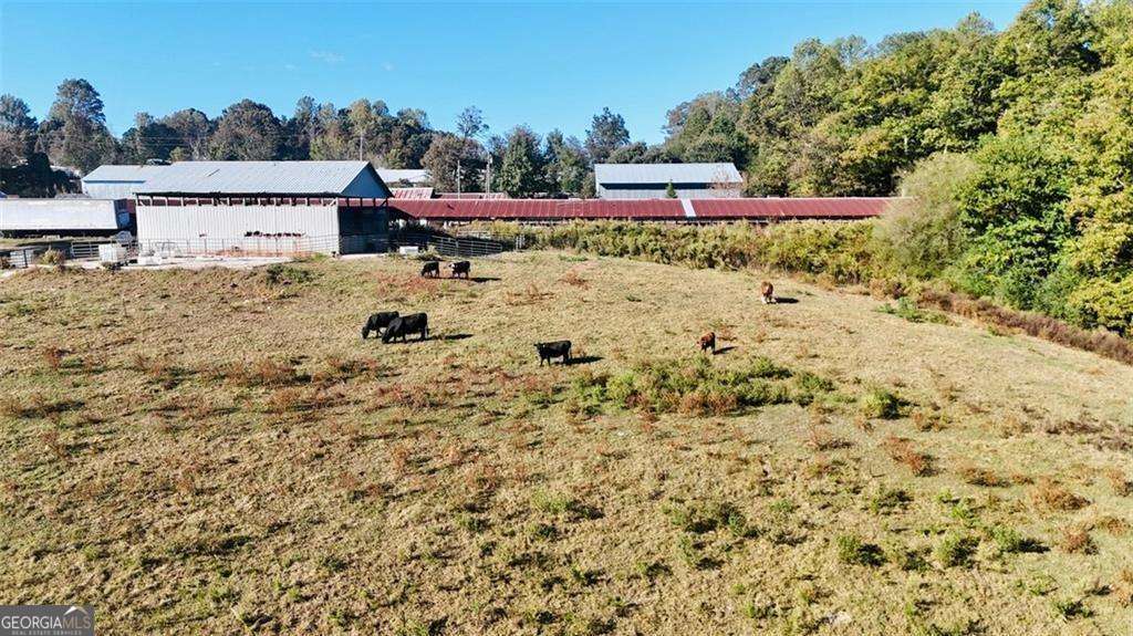 agriculture for sale at 0 Porter Springs Road, Dahlonega, GA 30533 — photo 1 of 31
