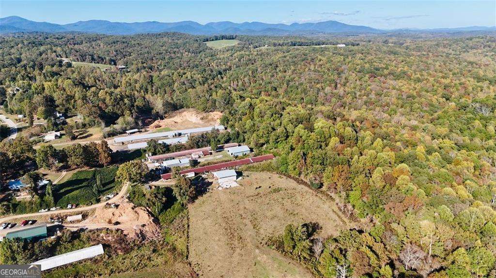 agriculture for sale at 0 Porter Springs Road, Dahlonega, GA 30533 — photo 5