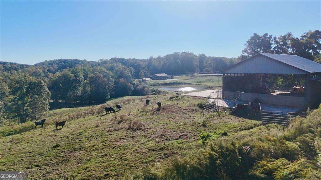 agriculture for sale at 0 Porter Springs Road, Dahlonega, GA 30533 — photo 8