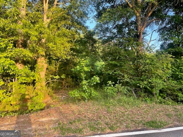 agriculture for sale at 0 McCrary Road TRACT 3, Molena, GA 30258 — photo 2