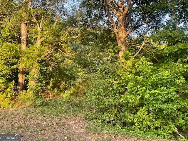 agriculture for sale at 0 McCrary Road TRACT 3, Molena, GA 30258 — photo 6
