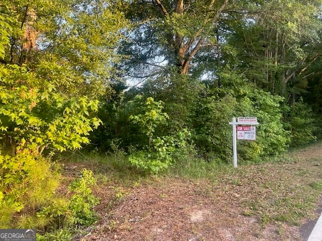 agriculture for sale at 0 McCrary Road TRACT 3, Molena, GA 30258 — photo 7