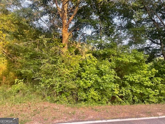 agriculture for sale at 0 McCrary Road TRACT 3, Molena, GA 30258 — photo 3