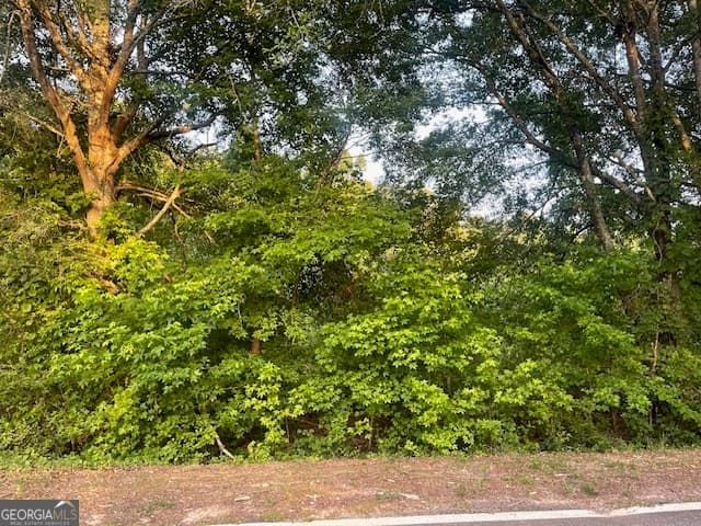 agriculture for sale at 0 McCrary Road TRACT 3, Molena, GA 30258 — photo 5