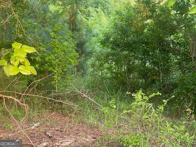 agriculture for sale at 0 McCrary Road TRACT 3, Molena, GA 30258 — photo 9