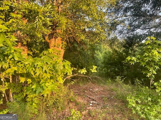 agriculture for sale at 0 McCrary Road TRACT 3, Molena, GA 30258 — photo 10