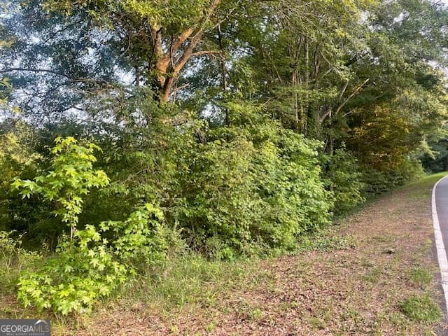 agriculture for sale at 0 McCrary Road TRACT 3, Molena, GA 30258 — photo 4