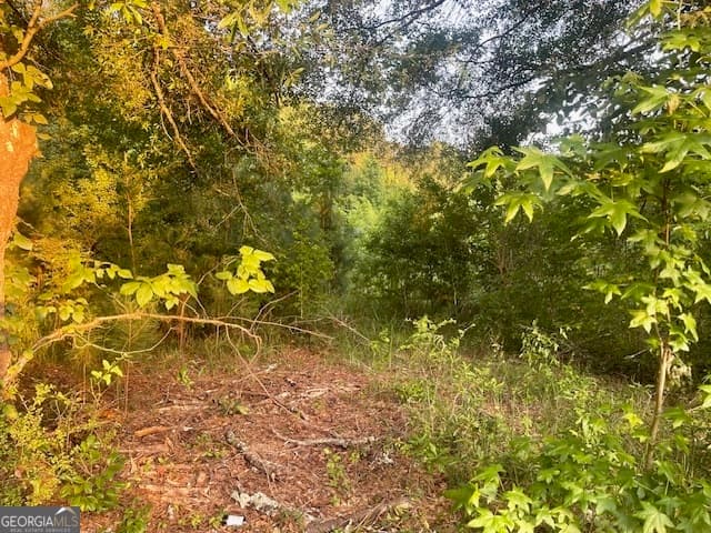 agriculture for sale at 0 McCrary Road TRACT 3, Molena, GA 30258 — photo 8