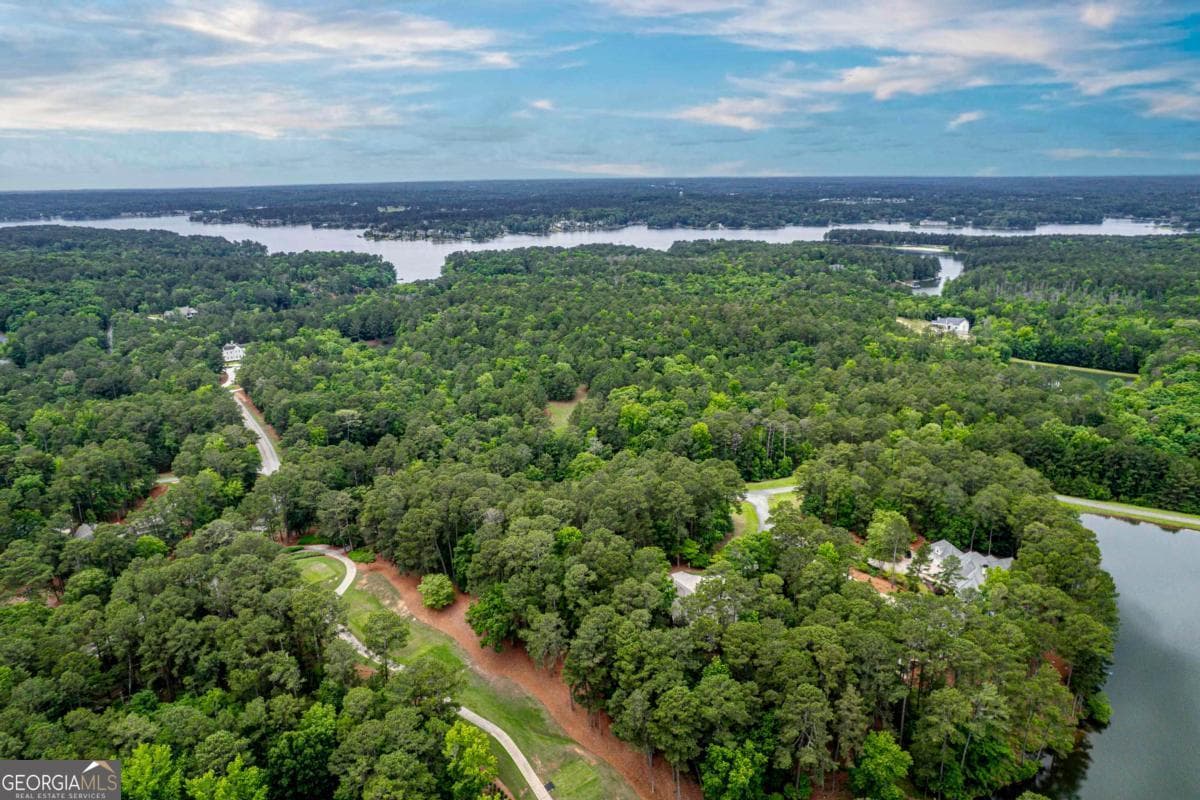 residential lot for sale at 1041 Cedar Ridge Drive, Greensboro, GA 30642 — photo 6