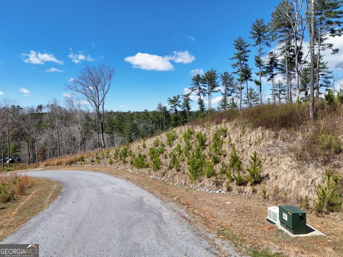 residential lot for sale at LOT 253 High River Crossing, Ellijay, GA 30540 — photo 6