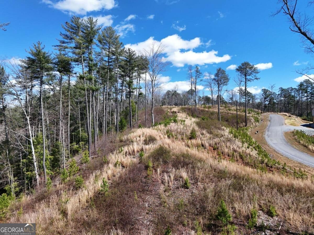 residential lot for sale at LOT 253 High River Crossing, Ellijay, GA 30540 — photo 7
