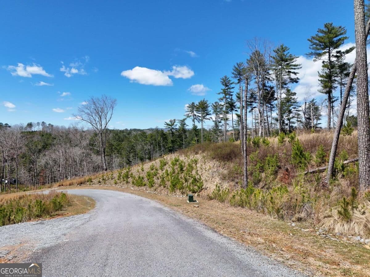 residential lot for sale at LOT 253 High River Crossing, Ellijay, GA 30540 — photo 3