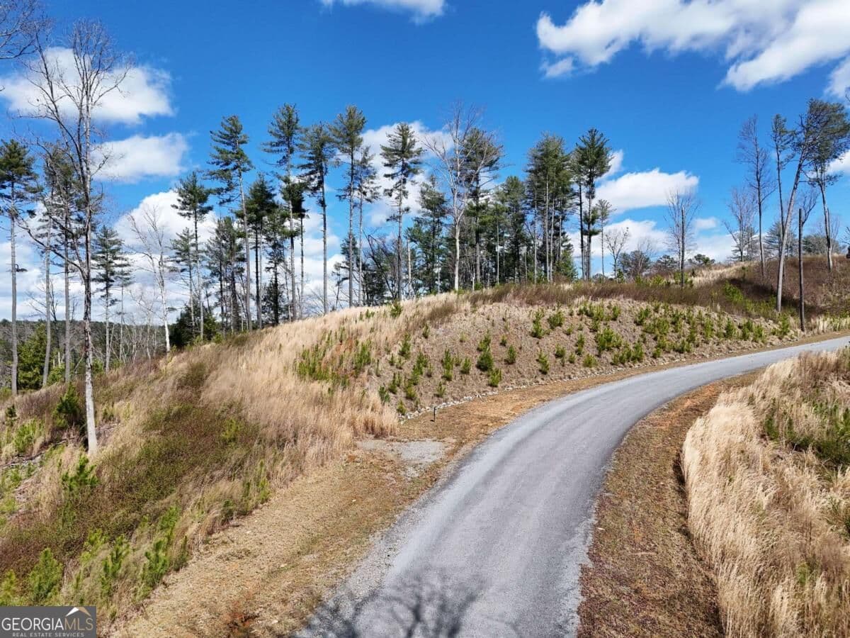 residential lot for sale at LOT 253 High River Crossing, Ellijay, GA 30540 — photo 1 of 44
