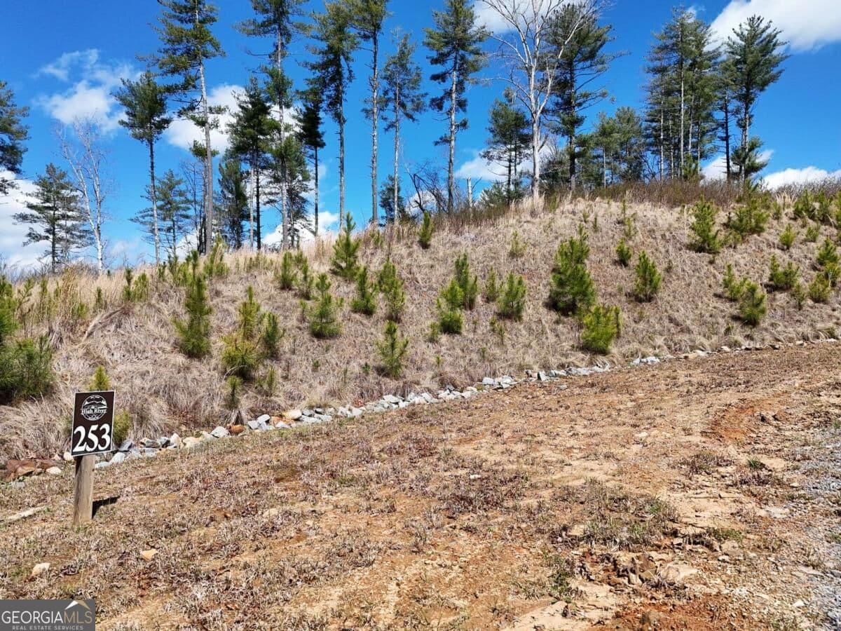 residential lot for sale at LOT 253 High River Crossing, Ellijay, GA 30540 — photo 5