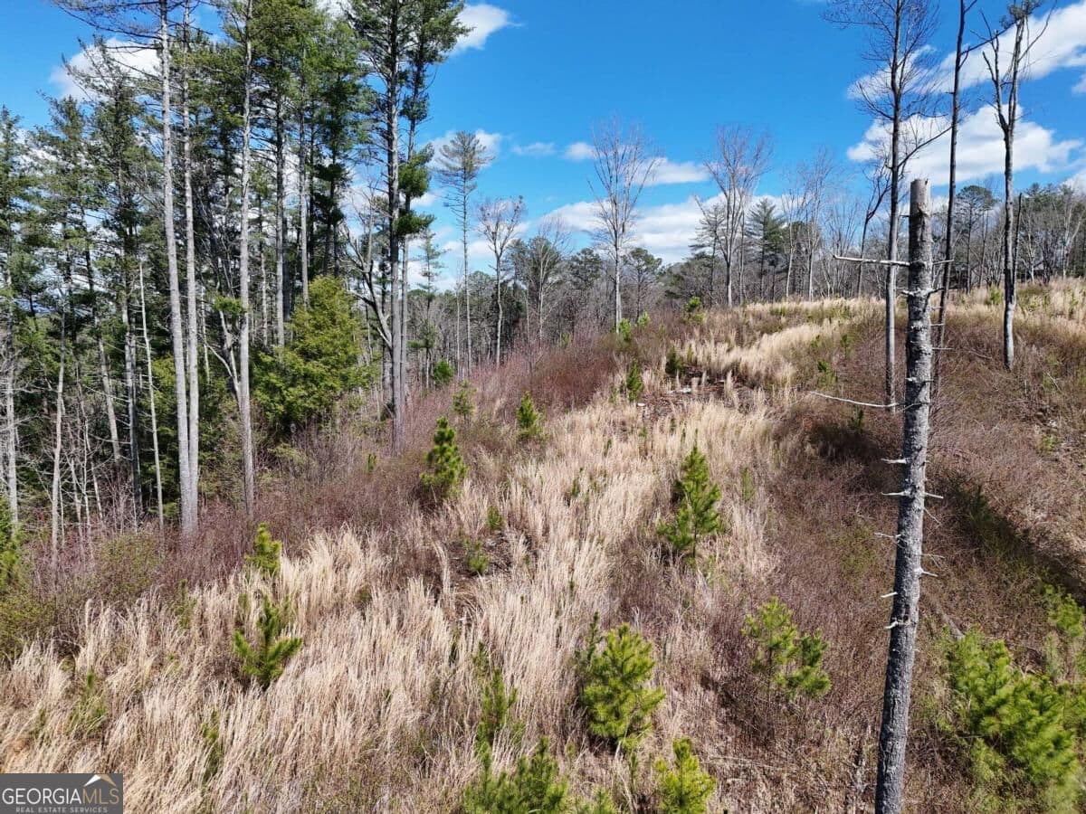 residential lot for sale at LOT 253 High River Crossing, Ellijay, GA 30540 — photo 10