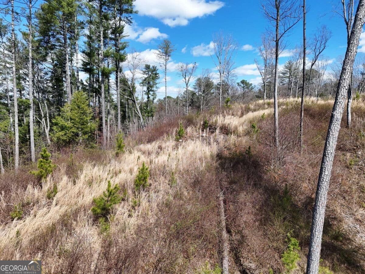 residential lot for sale at LOT 253 High River Crossing, Ellijay, GA 30540 — photo 8