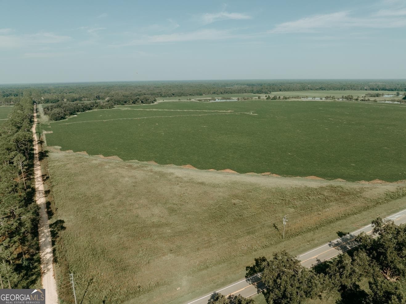 agriculture sold at 0 Georgia 55 Highway, Leary, GA 39862