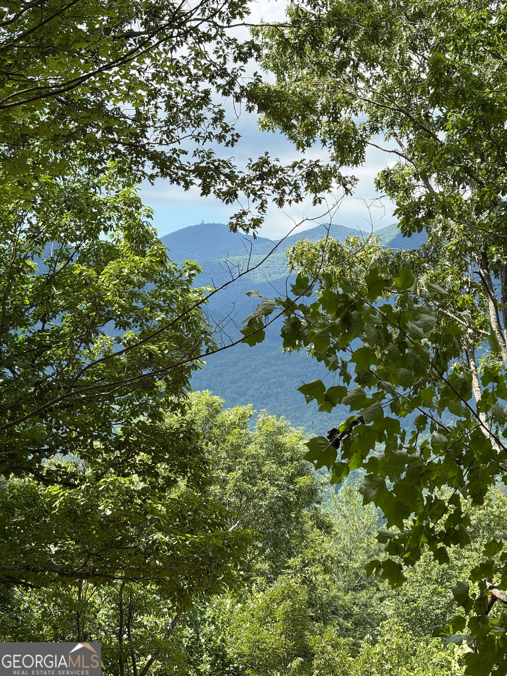 3 bedroom, 3 bathroom, 1,578 sq ft single family residence for sale at LOT 4 Whiskey Mountain Estates, Hiawassee, GA 30546 — photo 9