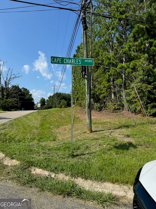 residential lot for sale at 0 Cape Charles Avenue, Hampton, GA 30228 — photo 3