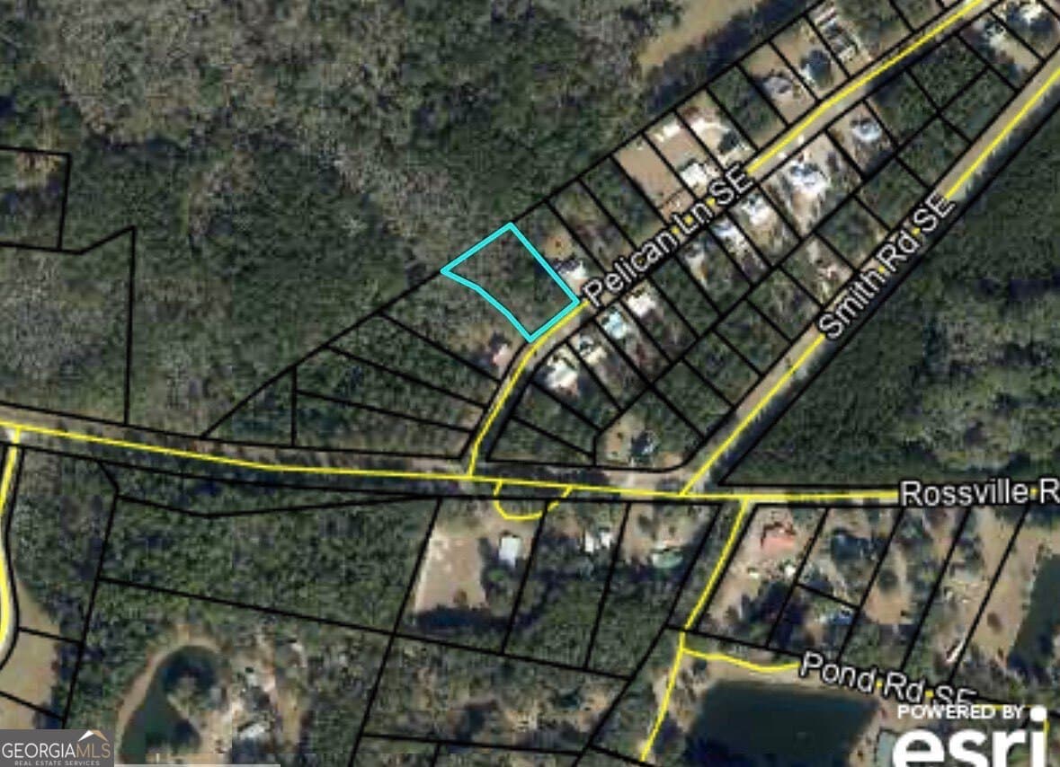 residential lot for sale at LOT 52 Pelican Lane, Townsend, GA 31331 — photo 2