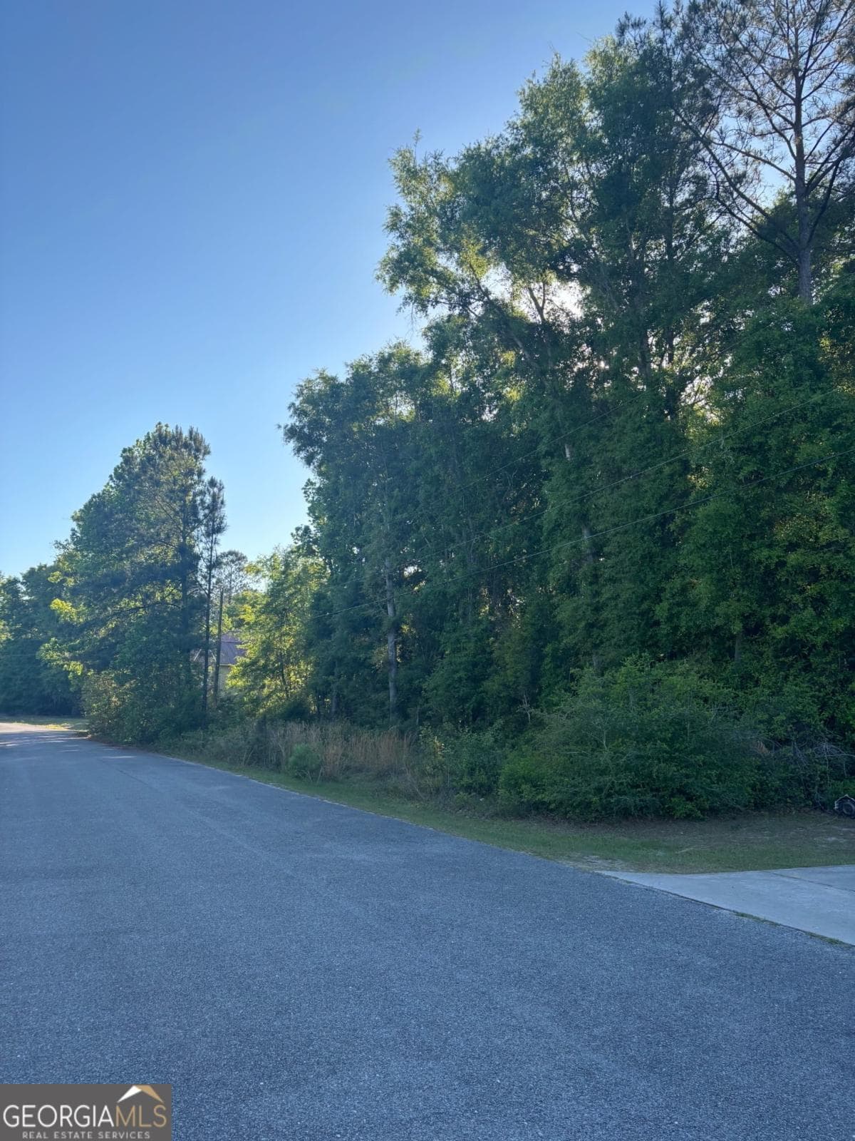 residential lot for sale at LOT 52 Pelican Lane, Townsend, GA 31331 — photo 3