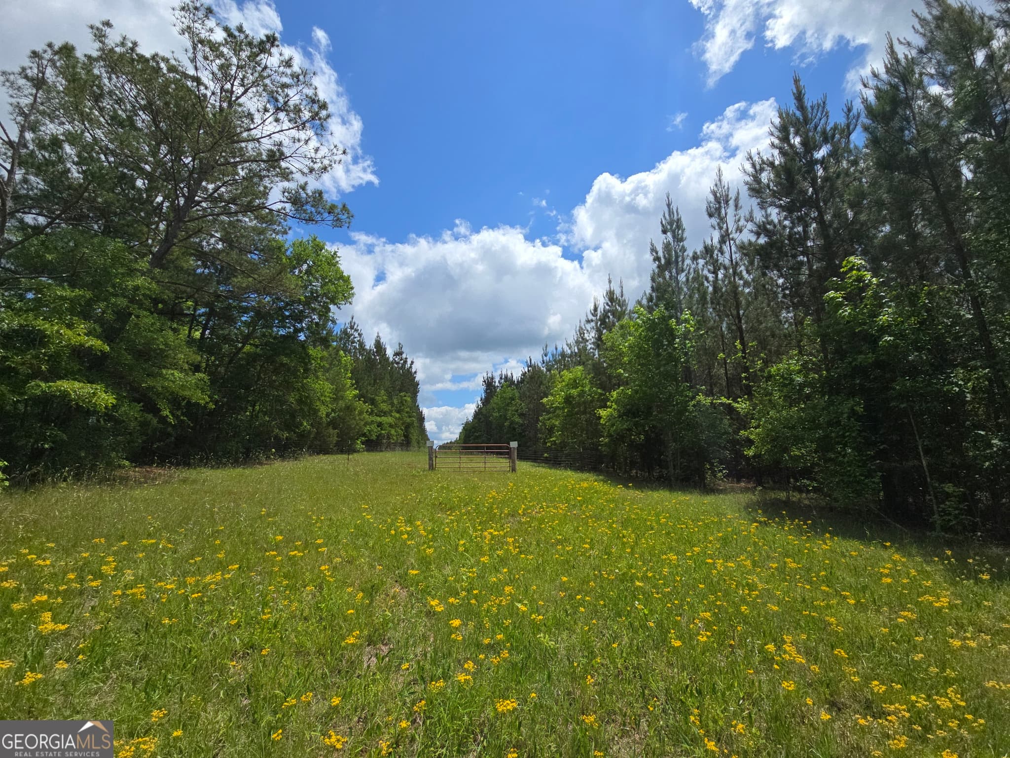 residential lot for sale at 0 Davis Lake Road, Thomaston, GA 30286 — photo 2