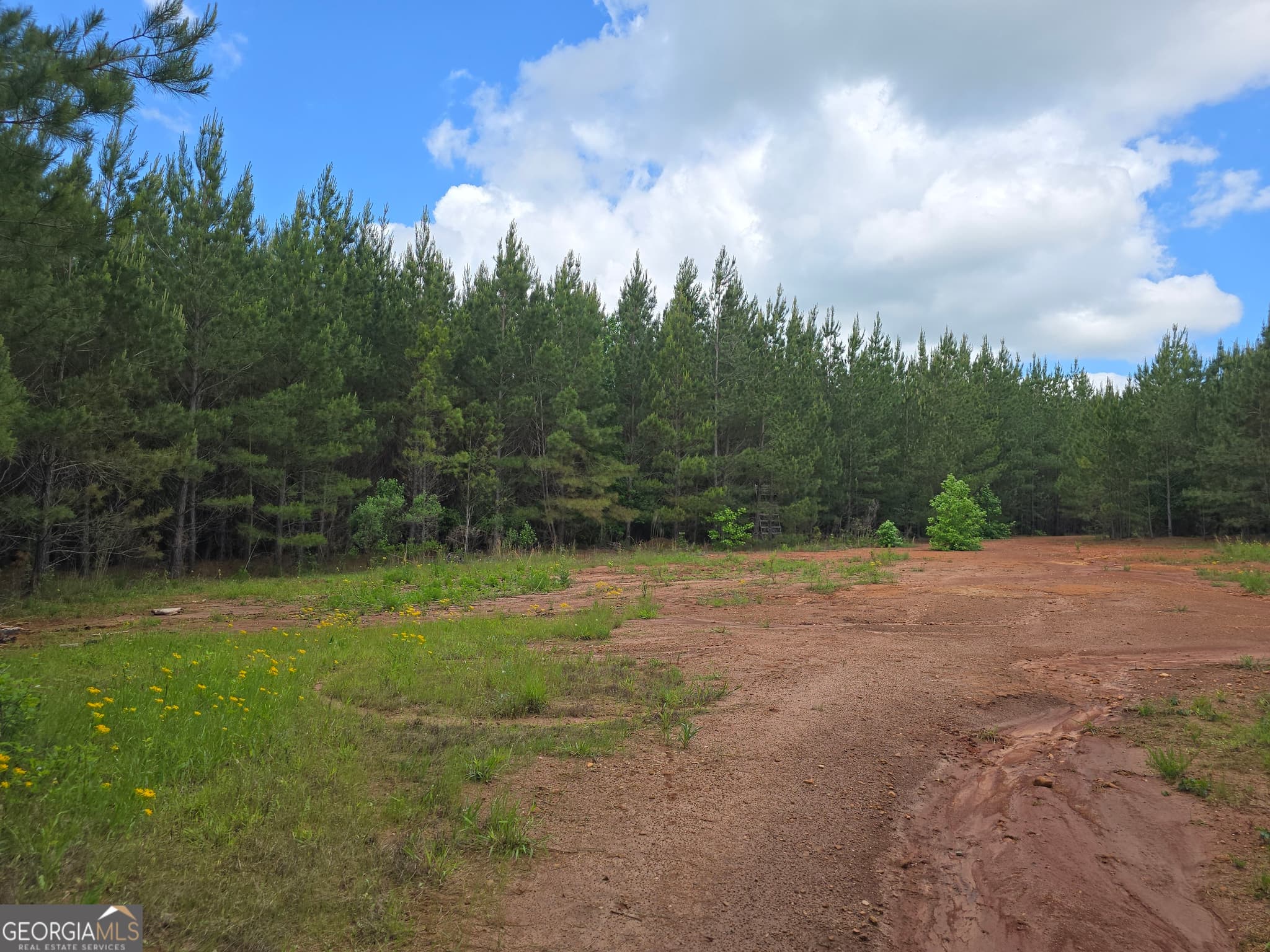 residential lot for sale at 0 Davis Lake Road, Thomaston, GA 30286 — photo 6