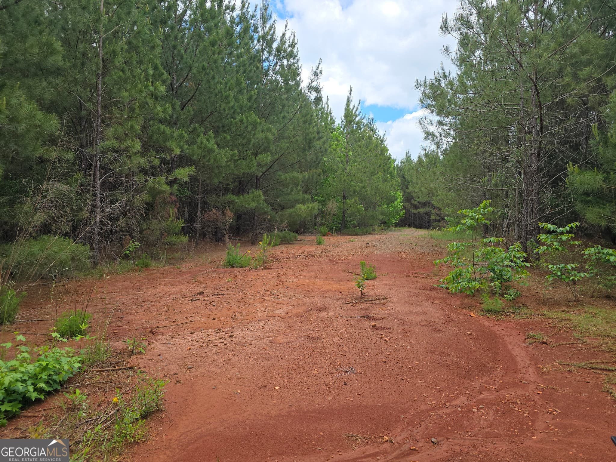 residential lot for sale at 0 Davis Lake Road, Thomaston, GA 30286 — photo 7