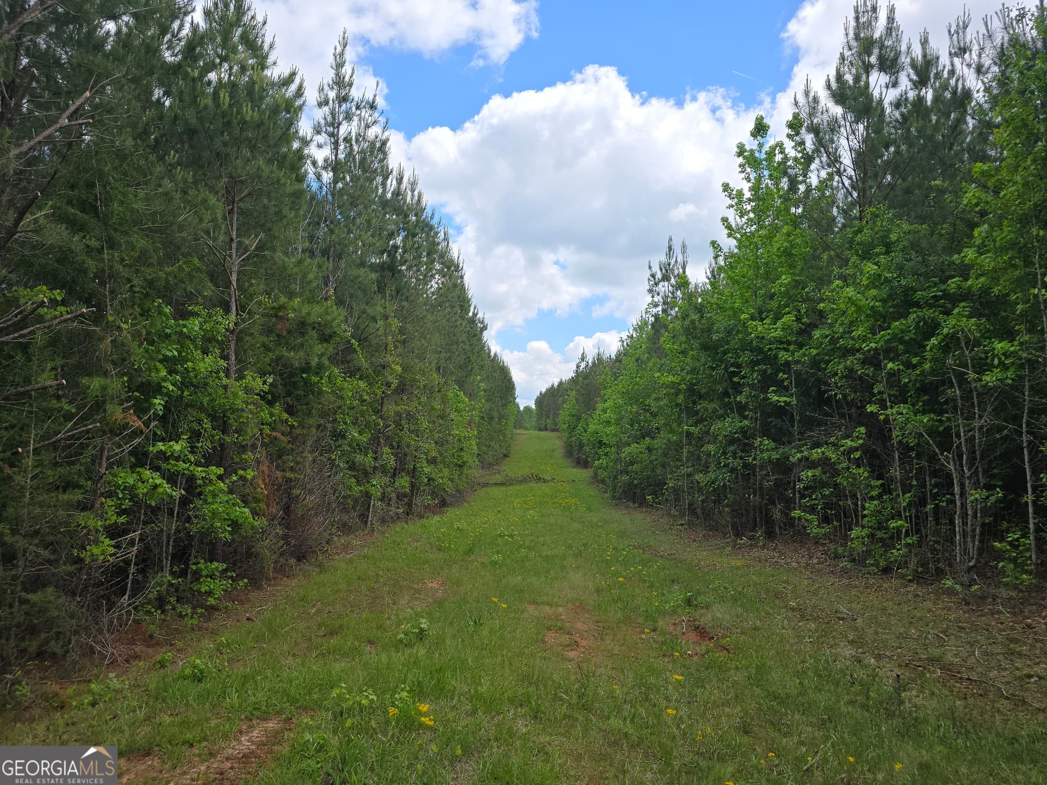 residential lot for sale at 0 Davis Lake Road, Thomaston, GA 30286 — photo 3
