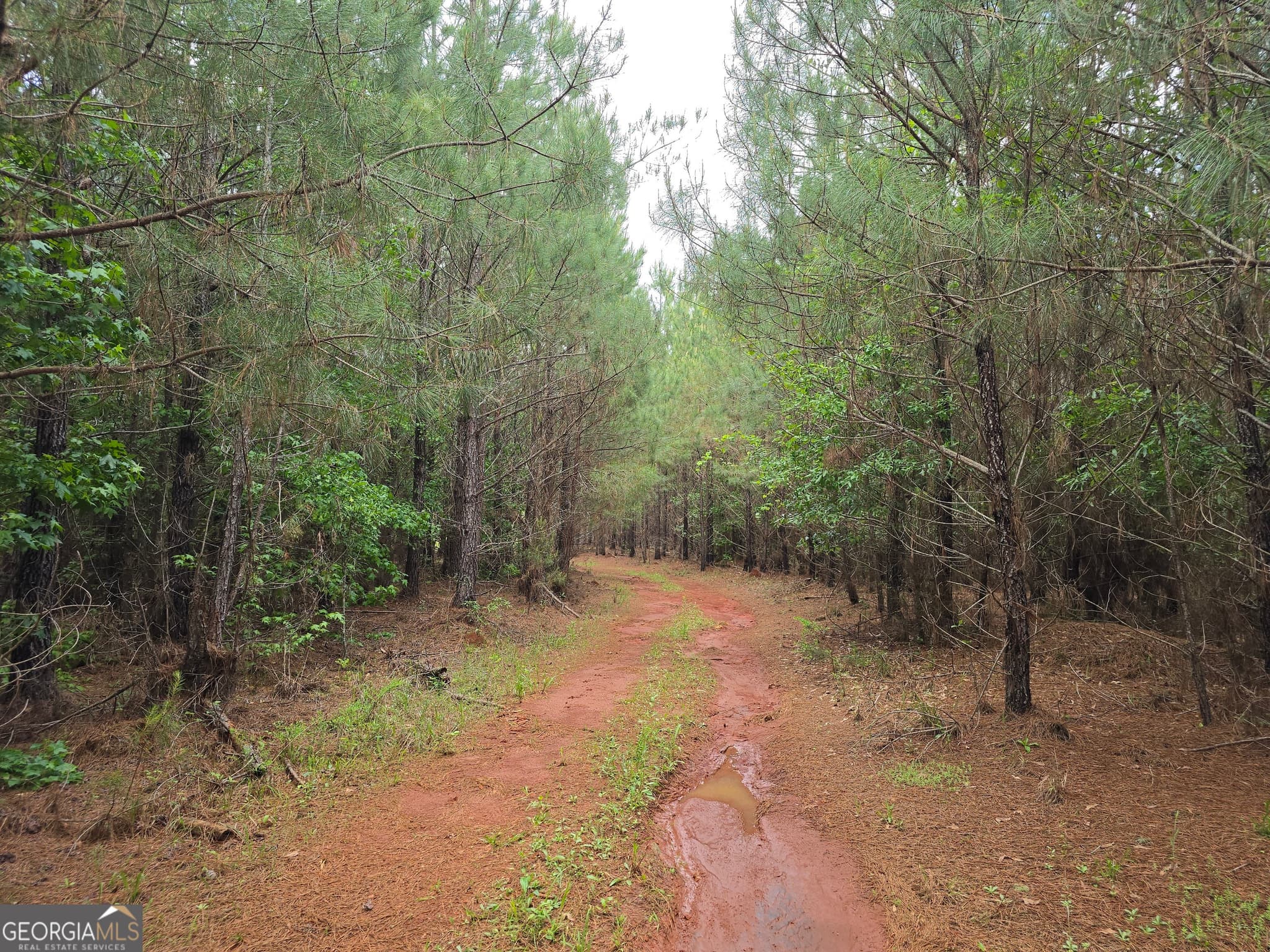 residential lot for sale at 0 Davis Lake Road, Thomaston, GA 30286 — photo 5