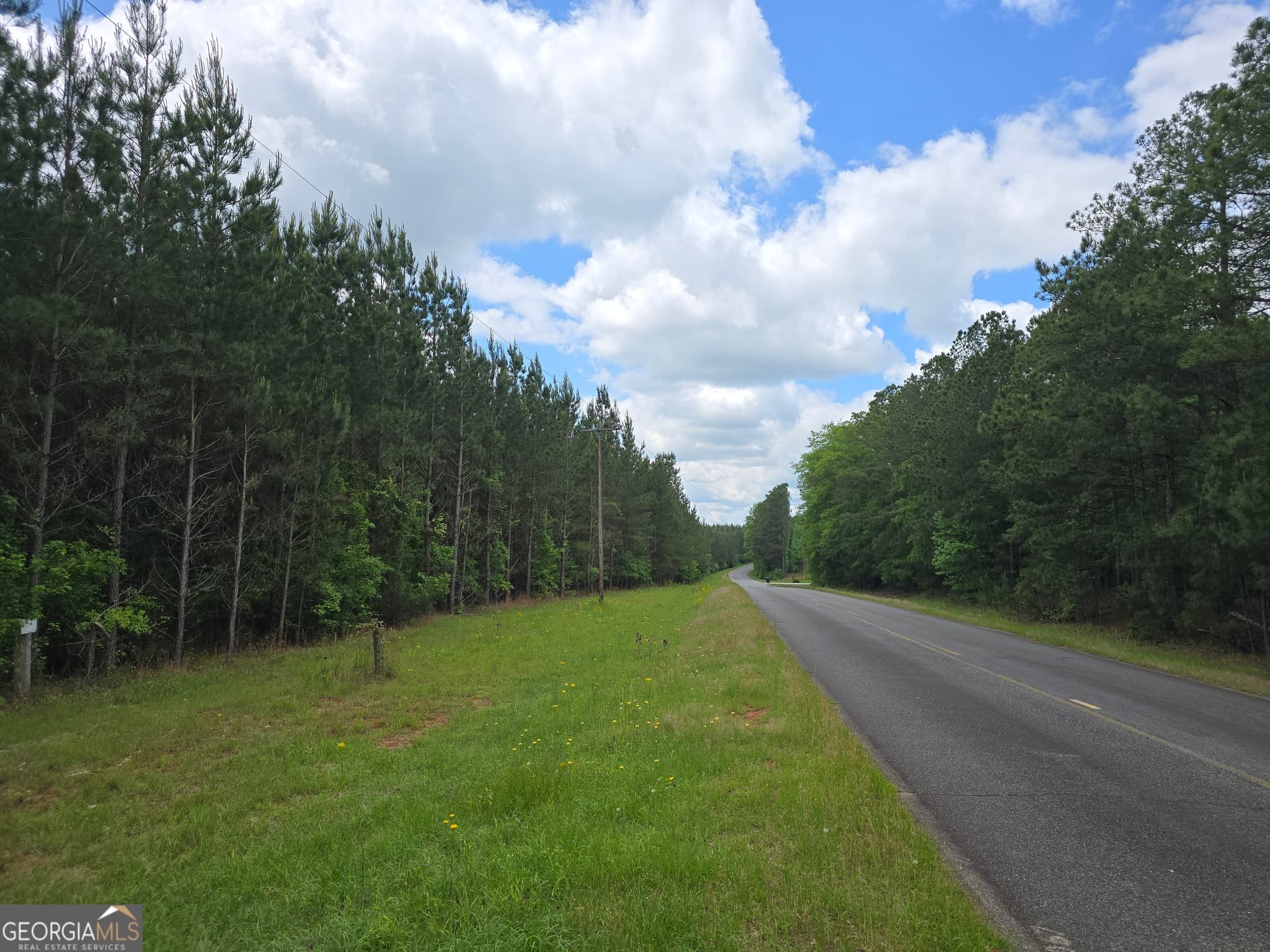 residential lot for sale at 0 Davis Lake Road, Thomaston, GA 30286 — photo 9