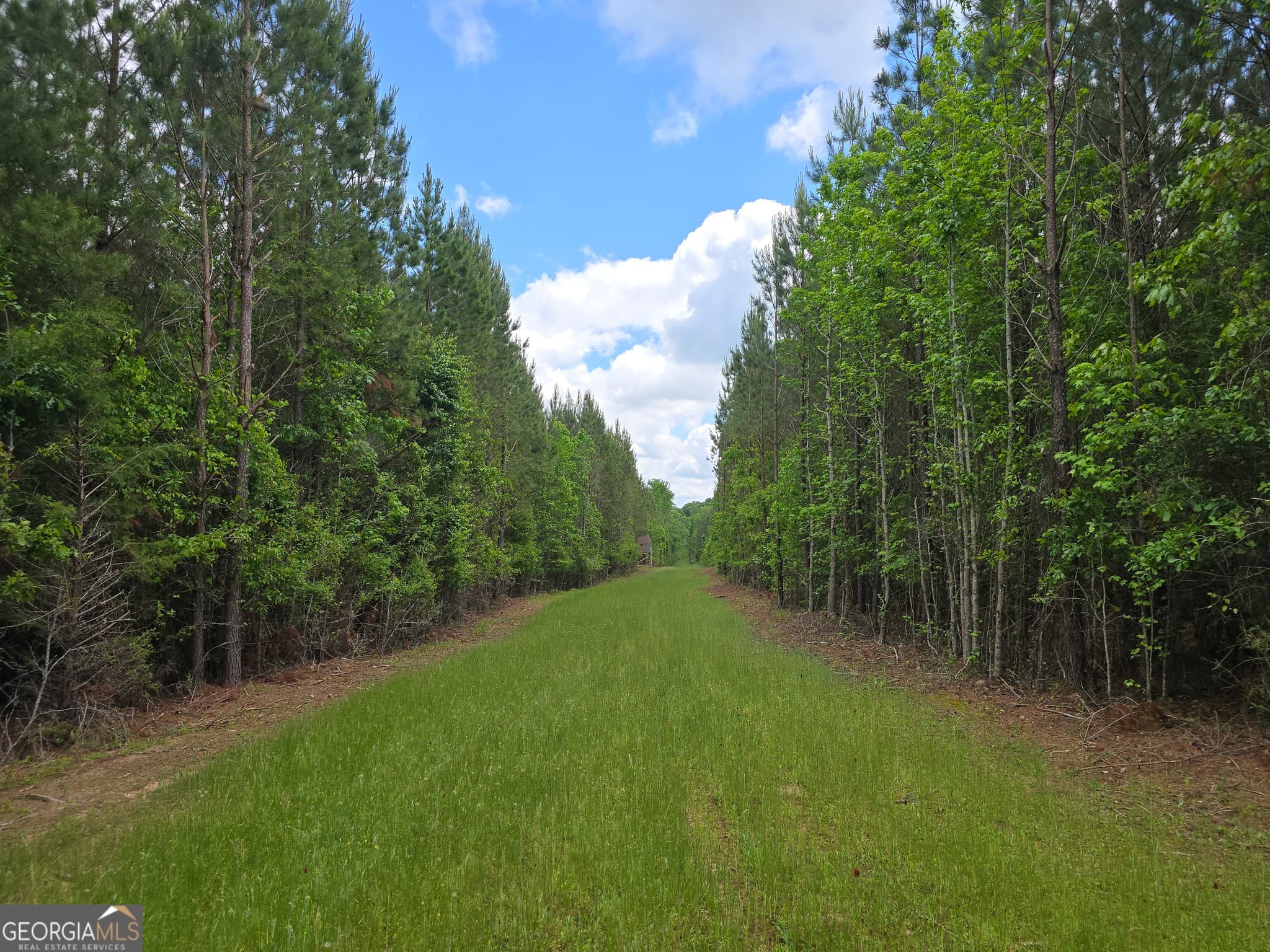 residential lot for sale at 0 Davis Lake Road, Thomaston, GA 30286 — photo 10
