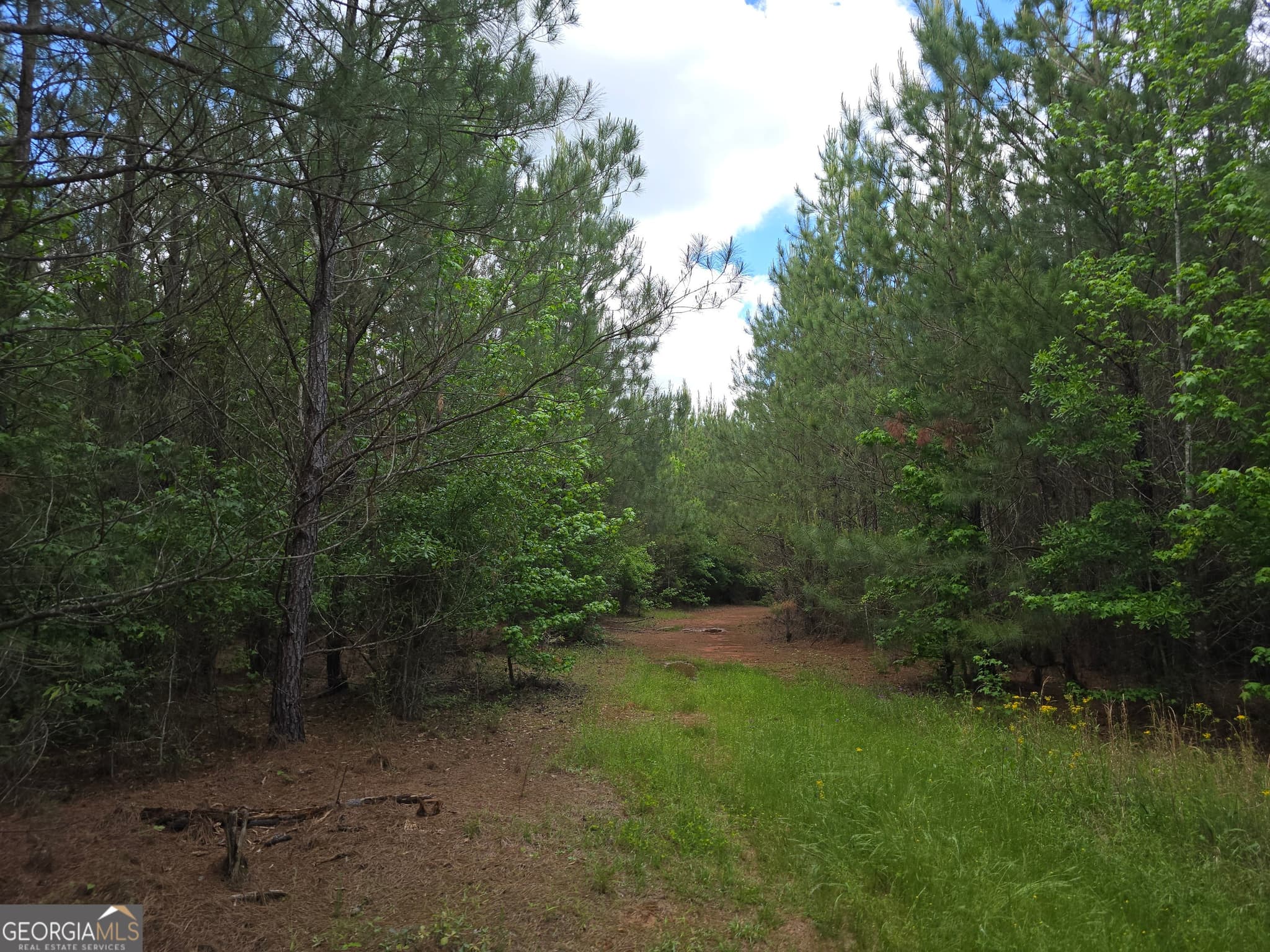 residential lot for sale at 0 Davis Lake Road, Thomaston, GA 30286 — photo 4