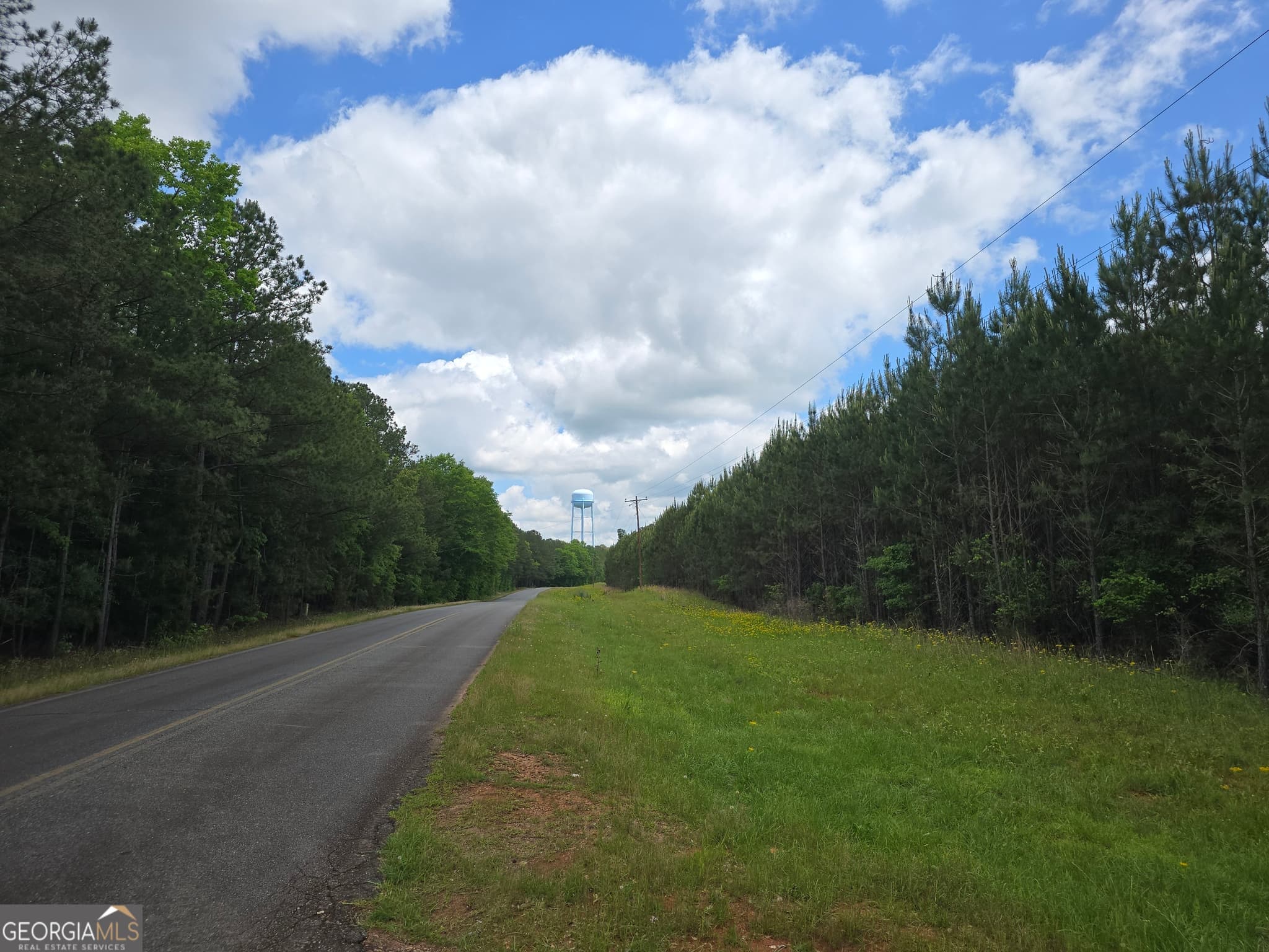 residential lot for sale at 0 Davis Lake Road, Thomaston, GA 30286 — photo 8