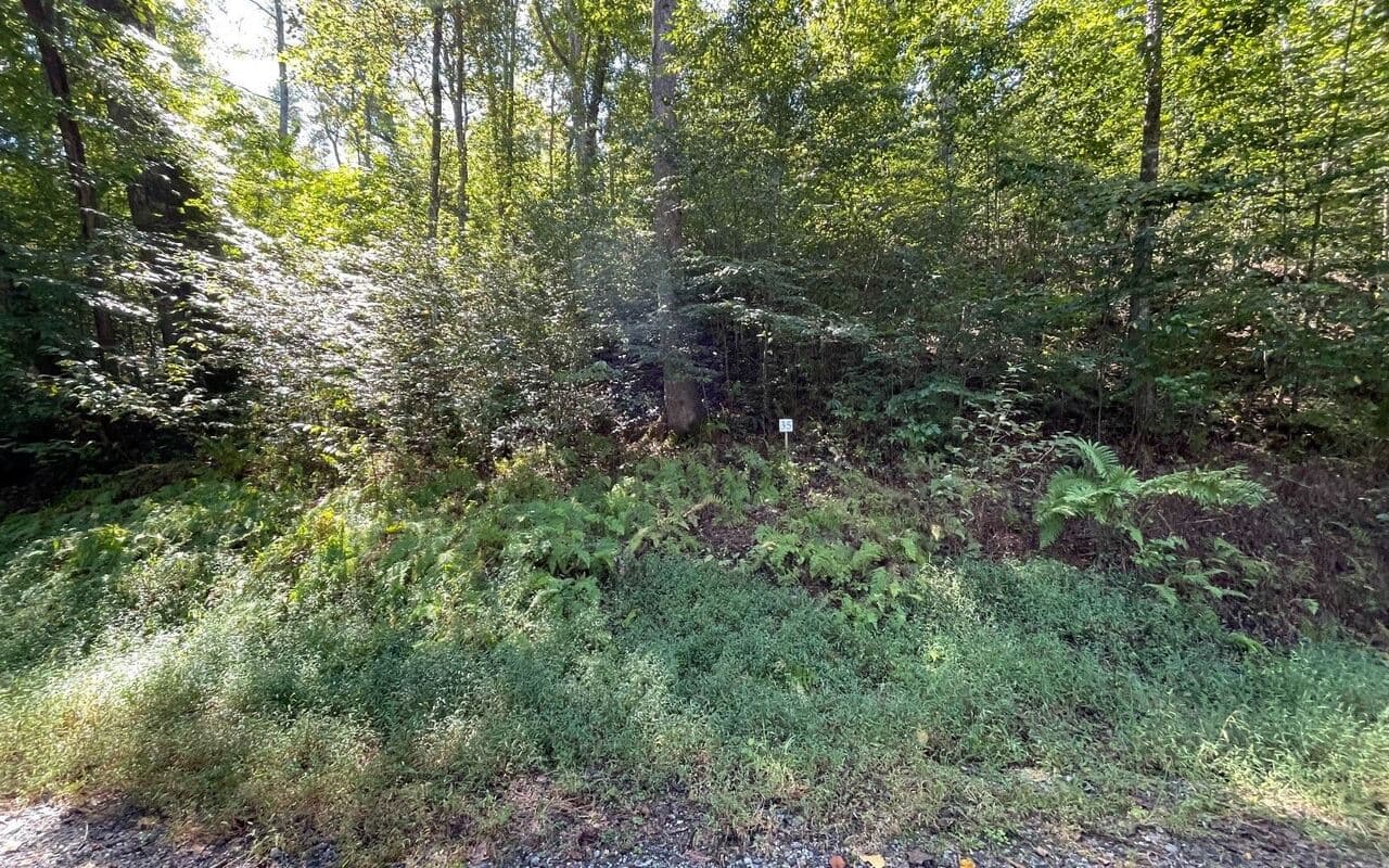 residential lot for sale at LOT 35 Hidden River, Hayesville, NC 28904 — photo 5
