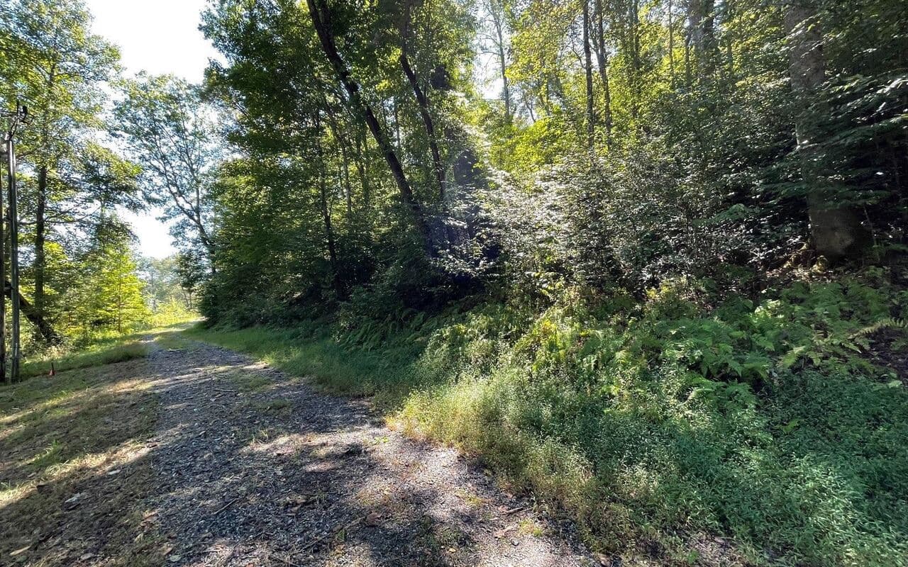 residential lot for sale at LOT 35 Hidden River, Hayesville, NC 28904 — photo 4