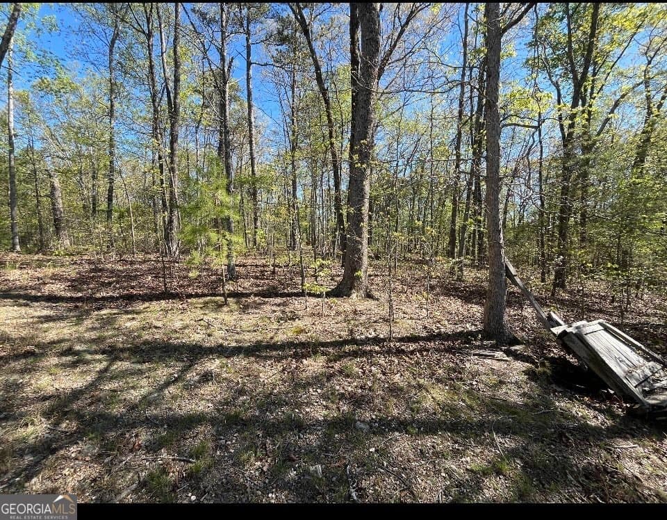 agriculture for sale at 0 Lafayette, Rocky Face, GA 30740 — photo 3